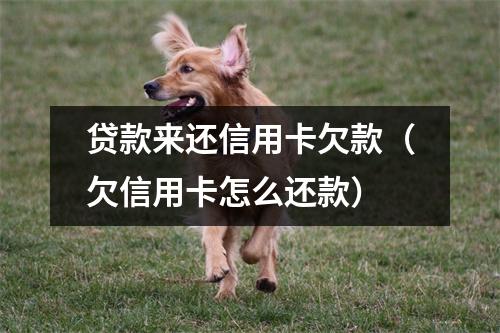 贷款来还信用卡欠款（欠信用卡怎么还款）