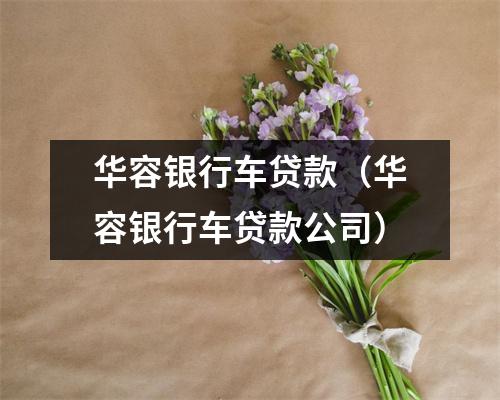 华容银行车贷款（华容银行车贷款公司）