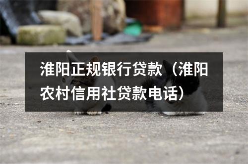 淮阳正规银行贷款（淮阳农村信用社贷款电话）