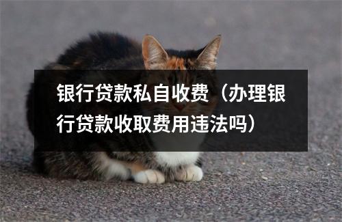 银行贷款私自收费（办理银行贷款收取费用违法吗）