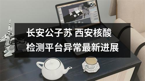长安公子苏 西安核酸检测平台异常最新进展