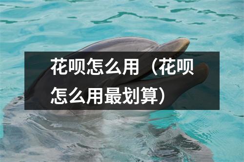 花呗怎么用（花呗怎么用最划算）