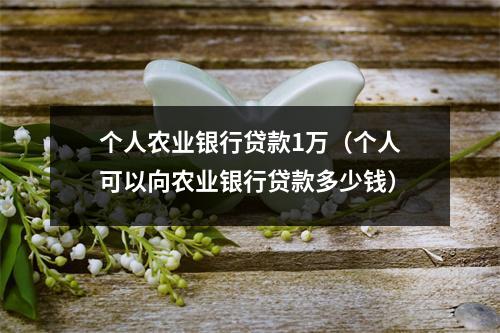 个人农业银行贷款1万（个人可以向农业银行贷款多少钱）