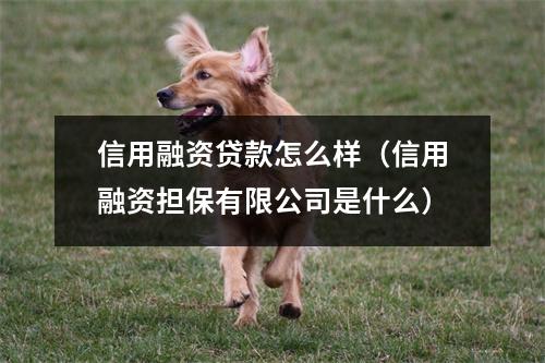 信用融资贷款怎么样（信用融资担保有限公司是什么）