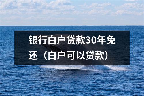 银行白户贷款30年免还（白户可以贷款）