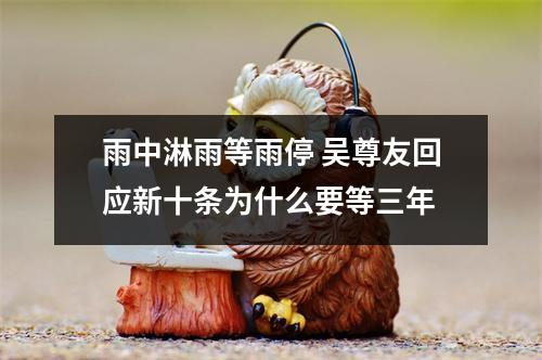 雨中淋雨等雨停 吴尊友回应新十条为什么要等三年