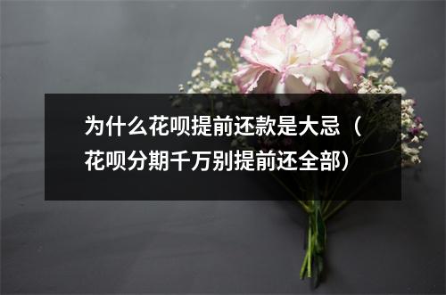 为什么花呗提前还款是大忌（花呗分期千万别提前还全部）