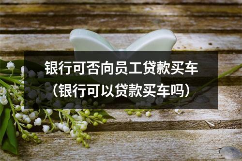 银行可否向员工贷款买车（银行可以贷款买车吗）