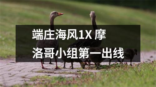 端庄海风1X 摩洛哥小组第一出线