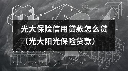 光大保险信用贷款怎么贷（光大阳光保险贷款）