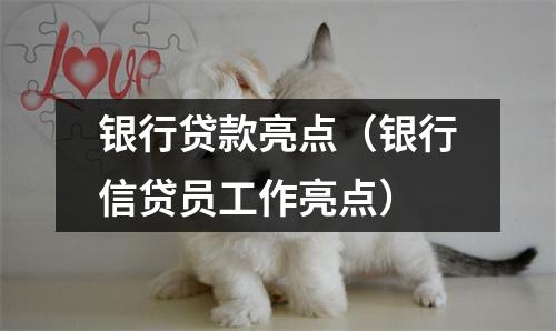 银行贷款亮点（银行信贷员工作亮点）