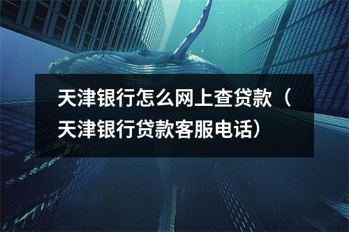 天津银行怎么网上查贷款(天津银行贷款客服电话)