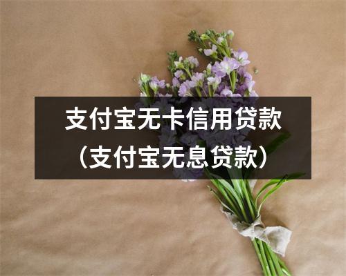 支付宝无卡信用贷款(支付宝无息贷款)
