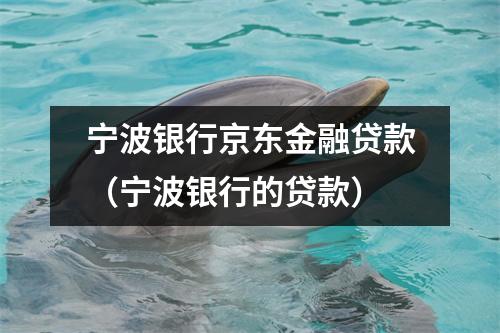宁波银行京东金融贷款（宁波银行的贷款）