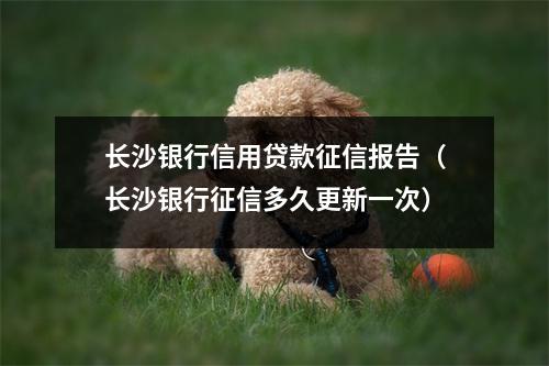 长沙银行信用贷款征信报告（长沙银行征信多久更新一次）