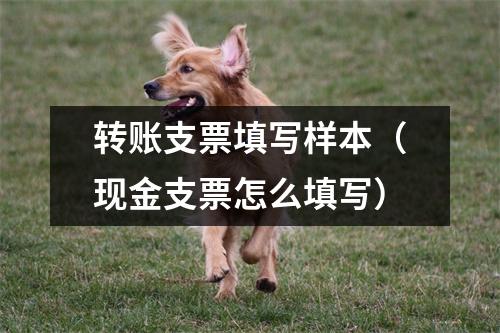 转账支票填写样本（现金支票怎么填写）