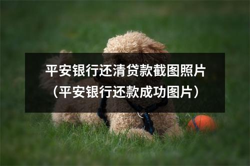 平安银行还清贷款截图照片(平安银行还款成功图片)