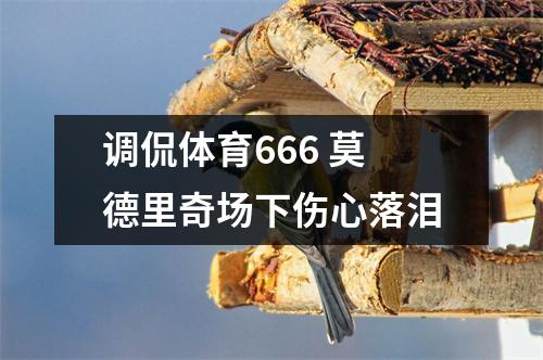 调侃体育666 莫德里奇场下伤心落泪