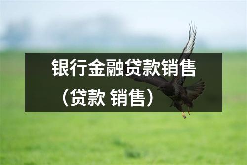 银行金融贷款销售（贷款 销售）