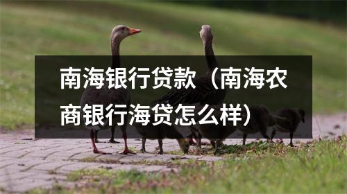 南海银行贷款(南海农商银行海贷怎么样)