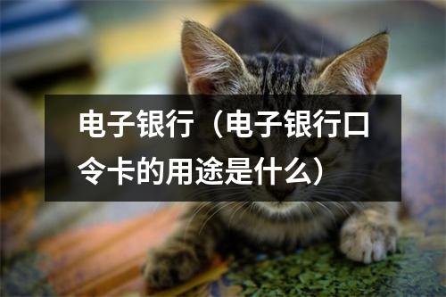 电子银行（电子银行口令卡的用途是什么）