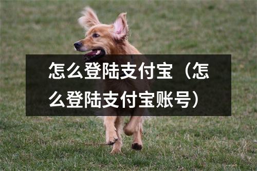 怎么登陆支付宝(怎么登陆支付宝账号)