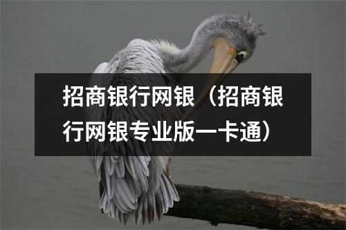 招商银行网银（招商银行网银专业版一卡通）