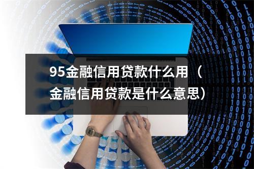 95金融信用贷款什么用（金融信用贷款是什么意思）