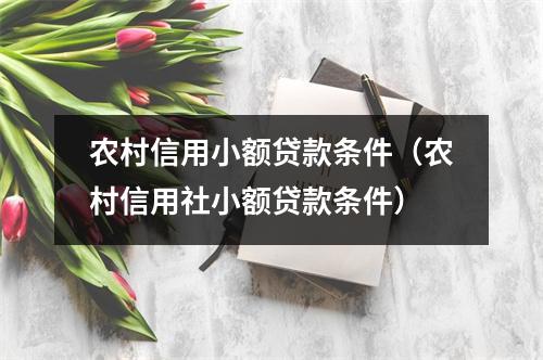 农村信用小额贷款条件（农村信用社小额贷款条件）