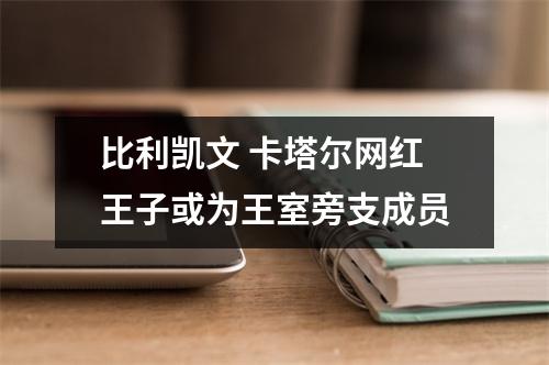 比利凯文 卡塔尔网红王子或为王室旁支成员