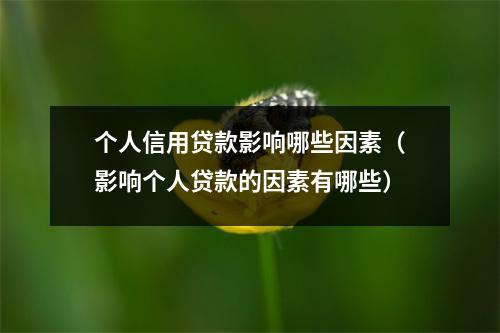 个人信用贷款影响哪些因素(影响个人贷款的因素有哪些)