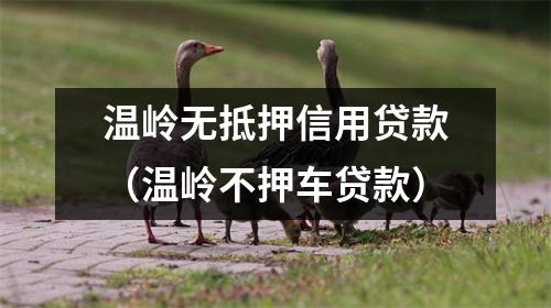 温岭无抵押信用贷款(温岭不押车贷款)