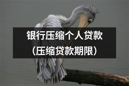 银行压缩个人贷款（压缩贷款期限）