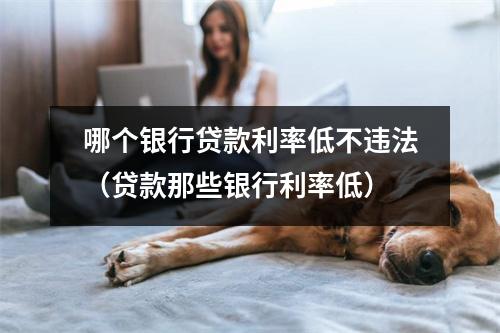 哪个银行贷款利率低不违法（贷款那些银行利率低）