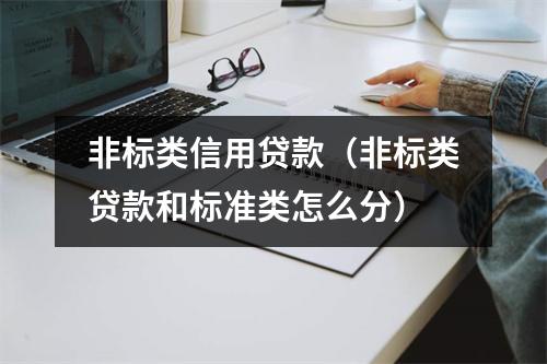 非标类信用贷款（非标类贷款和标准类怎么分）