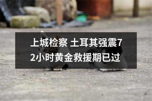 上城检察 土耳其强震72小时黄金救援期已过