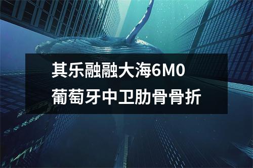 其乐融融大海6M0 葡萄牙中卫肋骨骨折