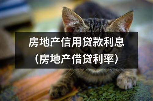 房地产信用贷款利息（房地产借贷利率）