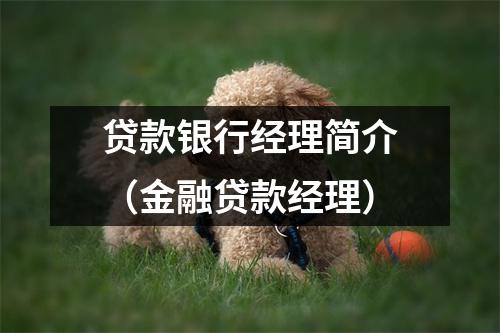贷款银行经理简介（金融贷款经理）