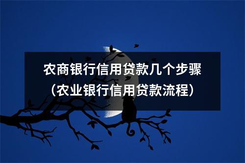 农商银行信用贷款几个步骤（农业银行信用贷款流程）