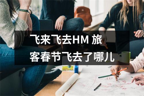 飞来飞去HM 旅客春节飞去了哪儿