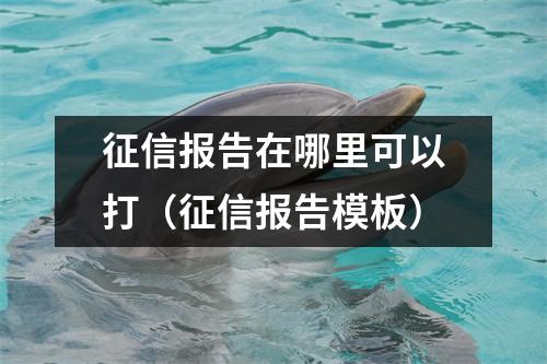 征信报告在哪里可以打(征信报告模板)