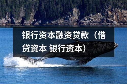银行资本融资贷款（借贷资本 银行资本）