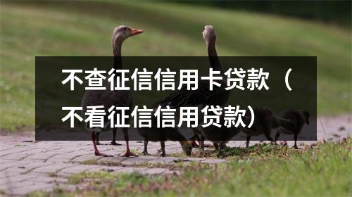 不查征信信用卡贷款（不看征信信用贷款）