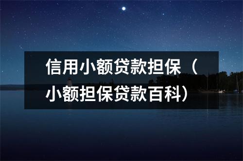 信用小额贷款担保(小额担保贷款百科)