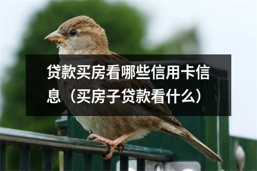 贷款买房看哪些信用卡信息(买房子贷款看什么)