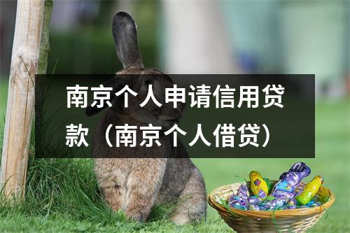 南京个人申请信用贷款（南京个人借贷）