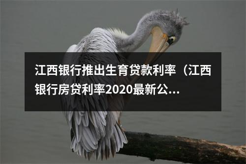 江西银行推出生育贷款利率（江西银行房贷利率2020最新公告）