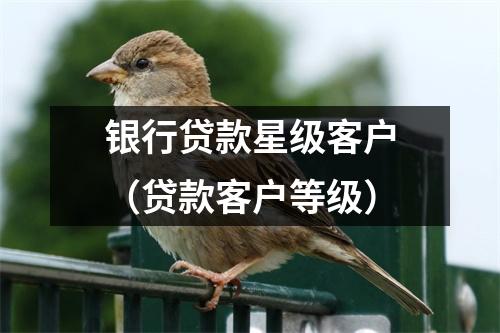 银行贷款星级客户（贷款客户等级）