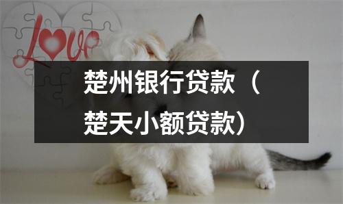 楚州银行贷款（楚天小额贷款）